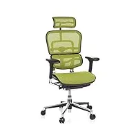 hjh office 652140 fauteuil de direction de luxe ergohuman maille vert chaise de bureau supérieure pivotante