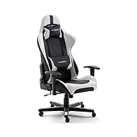 robas lund dx racer 6 chaise gaming l'original, bureau siège de bureau, avec fonction basculant chaise gamer chaise pc tournable et réglable en hauteur fauteuil de direction ergonomique, noir-blanc