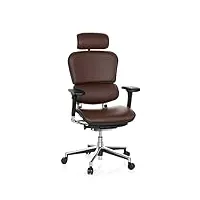 hjh office 652251 fauteuil de direction ergohuman fauteuil de bureau en cuir soutien lombaire flexible, marron foncé