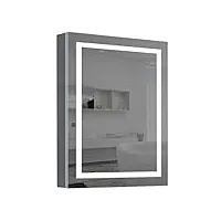 armoire de toilette intelligente lampe miroir armoire de rangement armoire suspendue (color : silver, size : 50 * 12 * 70cm)