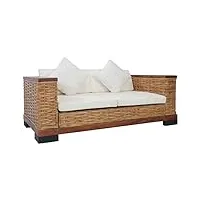 vidaxl canapé à 2 places avec coussins sofa de salon canapé de bureau sofa de salle de séjour chambre à coucher maison intérieur marron résine tressée