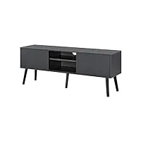 meuble tv design support télé banc avec 2 portes et 2 Étagères panneau de particules mélaminé pieds en bois avec revêtement pvc 120 x 30 x 47 cm gris foncé noir