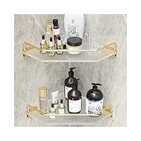 shuaiaiw lot de 2 étagères d'angle en acrylique pour salle de bain, support de shampooing, étagère de douche pour intérieur de douche/baignoire, étagère murale sans perçage (doré)