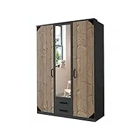 pegane armoire placard meuble de rangement 2 portes coloris graphite/imitation chêne - longueur 135 x hauteur 199 x profondeur 58 cm