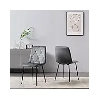 b&d home chaises de salle à manger vicka (lot de 2) | chaise rembourrée pour cuisine, salle à manger, salon, bureau | design industriel moderne élégant | tissu velours gris, 11120-grau-2