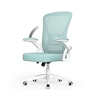 naspaluro chaise bureau avec accoudoir réglable, fauteuil ergonomique en maille respirante avec soutien lombaire, dossier inclinable et hauteur réglable, roulette pivotant à 360°, vert