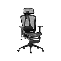 homestool chaise de bureau ergonomique fauteuil bureau avec 2-axe soutien lombaire réglables, siege bureau en maille carbone chaise ordinateur à hauteur assise siège cascade capacité de 150kg