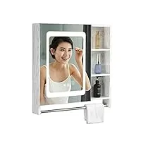 lojax armoire à miroir éclairée pour salle de bain + étagères, armoire à miroir de rangement murale, armoire à pharmacie avec désembuage du miroir (blanc 700x800mm(27.5x31.5in))