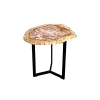 brillibrum table d'appoint design en bois pétrifié avec plateau de table exclusif en pierre de bois table de salon en métal table d'appoint à trois pieds table d'appoint massive fossil (variante 2)