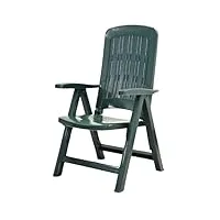 tomaino chaise longue de jardin pliante en plastique - fauteuil pour extérieur, maison, camping inclinable - 5 positions - avec accoudoirs (vert), tom01crm