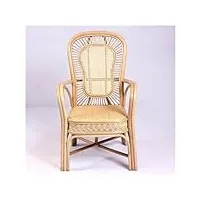 luo yi - cn chaise de jeu， cuisine moderne salle à manger chaises design bois salon dressing chaise de bureau salon luxe chambre chaises meubles (color : b)