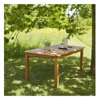 hanoï  table de jardin en acacia massif fsc extensible 8/10 places