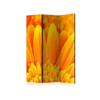paravent - yellow gerbera daisies [room dividers] [135x172]