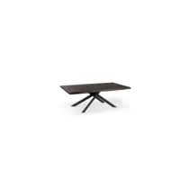 table fixe 200 x 76 h cm - spike