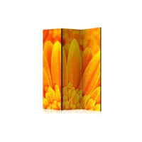 paravent 3 volets - yellow gerbera daisies [room dividers] a1-paraventtc0890