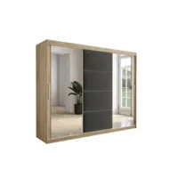 armoire de chambre tapila 2 avec tiroirs sonoma/graphite 250 avec 2 portes coulissantes style contemporain penderie avec étagères