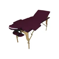 table de massage pliante 3 zones en bois avec panneau reiki + accessoires et housse de transport - prune