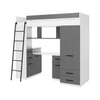 lit mezzanine 80x200cm avec échelle placard, bureau, bibliothèque et beaucoup d'étagéres samy l blanc /graphite