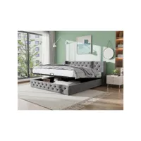 lit adulte lit coffre lit double lit 160x200 cm lit de forme d'oreiller capitonné double rangée de rivets en flanelle gris