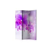 paravent 3 volets - purple orchids [room dividers] a1-paraventtc0844