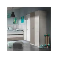 armoire 2 portes battantes bois blanchi-brun - tomtum - l 90 x l 52 x h 200 cm