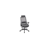 fauteuil de bureau vente-unique.com fauteuil de bureau ergonomique professionnel - avec têtière - nylon et tissu - gris - bankano