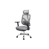chaise de bureau hwc-j92 ergonomique appui-lordose réglable gris