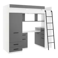 lit mezzanine 80x200cm avec échelle placard, bureau, bibliothèque et beaucoup d'étagéres samy p blanc /graphite