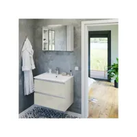 ensemble sdb 70 cm béton blanc + vasque + armoire miroir - baden