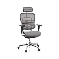 hjh office 652100 fauteuil de direction de luxe ergohuman maille gris chaise de bureau supérieure pivotante