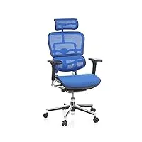 hjh office 652150 fauteuil de direction de luxe ergohuman maille bleu chaise de bureau supérieure pivotante