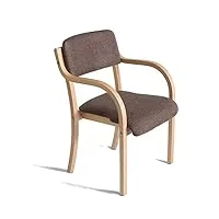 chaise de salle à manger en bois, fauteuil ergonomique avec accoudoirs, convient à la cuisine chaise de salle à manger fauteuil salon salle familiale cuisine lit chambre porche terrasse balcon meubles