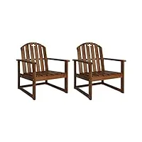 vidaxl 2x chaise de jardin accoudoirs bois d'acacia massif fauteuil de balcon
