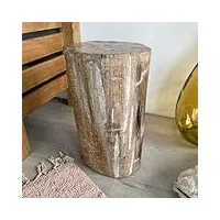 wanda collection pouf bois pétrifié fossilisé