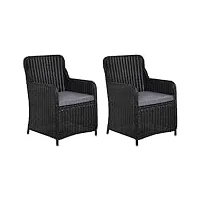 vidaxl 2x chaises d'extérieur résine tressée ensemble de fauteuils fauteuil d'extérieur chaises de jardin chaises de patio chaises de terrasse chaises d'extérieur