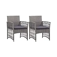 vidaxl 2x fauteuils de jardin avec coussins chaise de patio fauteuil de terrasse chaise de jardin fauteuil d'extérieur anthracite résine tressée