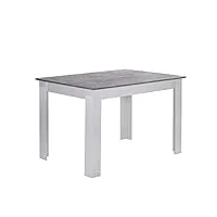 ofcasa table de salle à manger moderne rectangulaire blanche et bois 4-6 places pour salle à manger, cuisine, restaurant, extérieur 120 cm