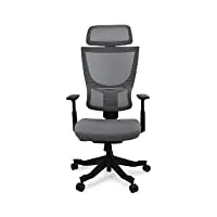 flexispot chaise de bureau fauteuil ergonomique support dorsal compact verrouillage à 120° rotation à 360° (gris)
