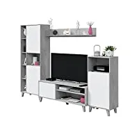 salon tv modulaire, meuble de salon, ensemble de meubles, modèle zoe, fini en blanc artik et gris ciment, mesures : 260 cm (l) x 184 cm (h) 40 cm (p)