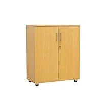 mmt furniture designs sd-iv18 armoire de rangement, bois d'ingénierie, hêtre, taille unique