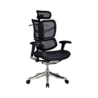 clp fauteuil de bureau ergonomique norfolk en maille i chaise gaming avec dossier ajustable i chaise bureau avec appuie-tête réglable, couleur:noir