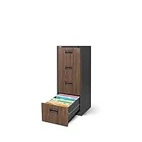 jan nowak armoire classeur pour dossiers avec 4 tiroirs armoire de bureau metallique revêtement en poudre tôle d'acier 132 cm x 46 cm x 62 cm (anthracite/imitation bois)