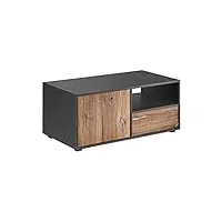 extreme furniture venice coffee table | armoire de salon avec 2 portes | design moderne | rangement pratique