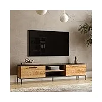 [en.casa] meuble tv à 2 portes meuble de rangement design pour salon avec 2 espaces de stockage 2 passages de câble panneau de particules métal 39 x 160 x 35 cm effet chêne rustique anthracite