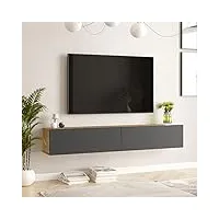 [en.casa] meuble tv à 2 portes meuble de rangement design pour salon panneau de particules mélaminé 30 x 180 x 32 cm effet chêne rustique anthracite