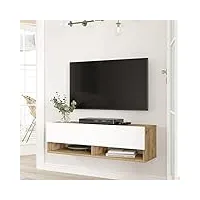 [en.casa] meuble tv à porte meuble de rangement design pour salon avec 2 espaces de stockage panneau de particules mélaminé 30 x 100 x 32 cm effet chêne rustique blanc