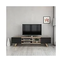 [en.casa] meuble tv de salon à 2 portes support banc télé avec espaces de rangement panneau de particules plastique 40 x 160 x 31 cm effet chêne noir