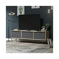 [en.casa] meuble tv de salon support à 3 portes banc télé avec espace de rangement fermé panneau de particules métal 45 x 150 x 35 cm effet chêne artisanal anthracite noir