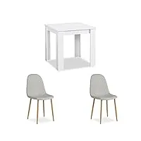 homestyle4u 2372 ensemble de salle à manger avec 2 chaises blanc/gris table à manger 80 x 80 cm table de cuisine avec chaises
