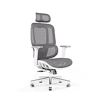 joyfly chaise bureau ergonomique, chaise de bureau ergonomique avec siège et appui-tête réglable, fauteuil de bureau avec soutien lombaire, chaise gaming ordinateur maille, adulte, 200kg(gris)